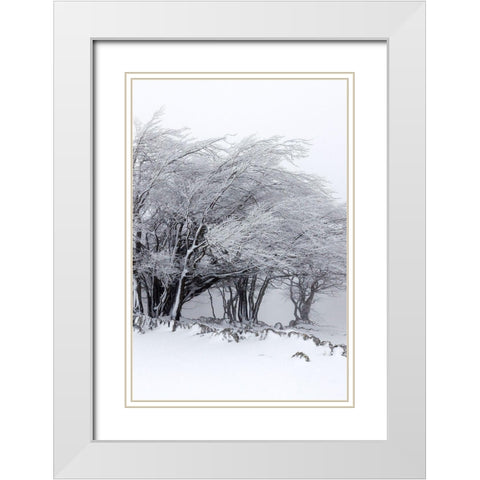Winter Storm White Modern Wood Framed Art Print with Double Matting by Incado