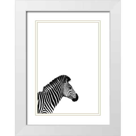 Zebra 2 White Modern Wood Framed Art Print with Double Matting by Incado