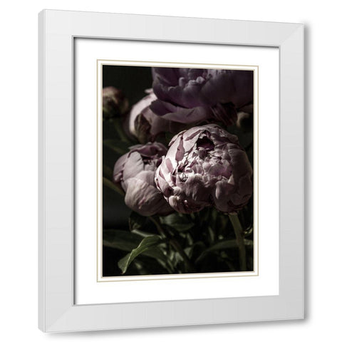 Flower 3 White Modern Wood Framed Art Print with Double Matting by Incado