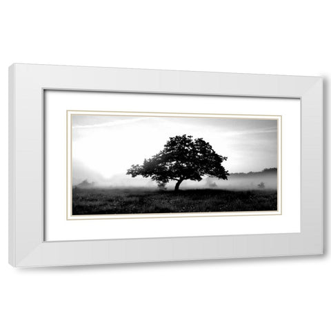 Solemn Tree White Modern Wood Framed Art Print with Double Matting by PhotoINC Studio