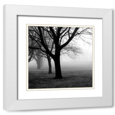 Trees White Modern Wood Framed Art Print with Double Matting by PhotoINC Studio