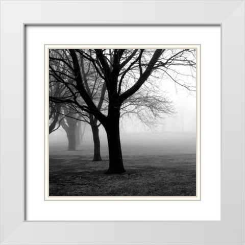 Trees White Modern Wood Framed Art Print with Double Matting by PhotoINC Studio