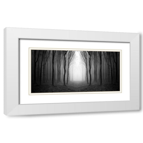 Dark Woods White Modern Wood Framed Art Print with Double Matting by PhotoINC Studio
