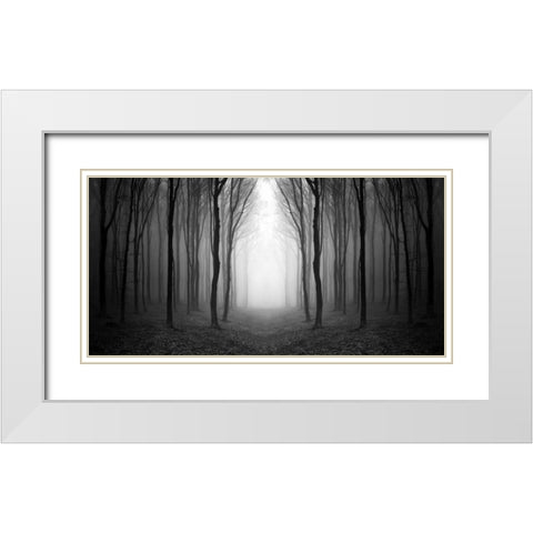 Dark Woods White Modern Wood Framed Art Print with Double Matting by PhotoINC Studio