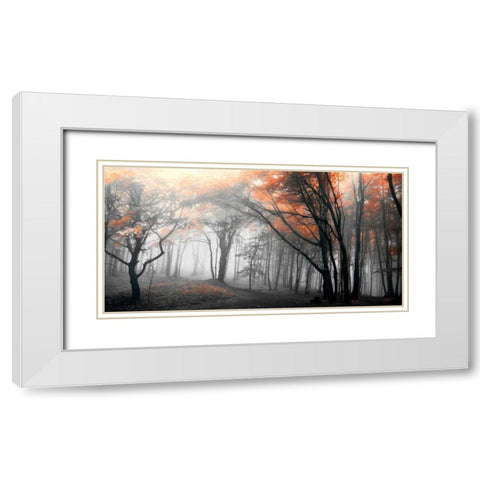 Autumn Woods White Modern Wood Framed Art Print with Double Matting by PhotoINC Studio