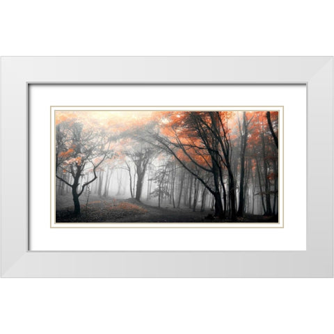 Autumn Woods White Modern Wood Framed Art Print with Double Matting by PhotoINC Studio