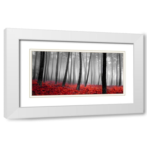 Autumn Woods White Modern Wood Framed Art Print with Double Matting by PhotoINC Studio