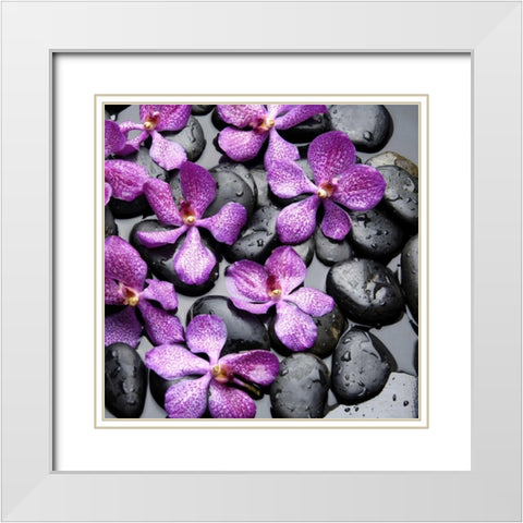 Zen Pebbles White Modern Wood Framed Art Print with Double Matting by PhotoINC Studio