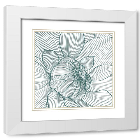 Myrrhis odorata I White Modern Wood Framed Art Print with Double Matting by GraphINC