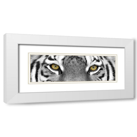 Tiger White Modern Wood Framed Art Print with Double Matting by PhotoINC Studio