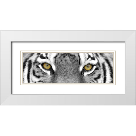 Tiger White Modern Wood Framed Art Print with Double Matting by PhotoINC Studio
