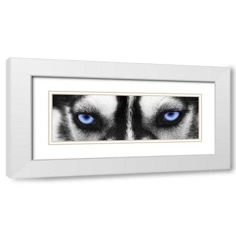Husky White Modern Wood Framed Art Print with Double Matting by PhotoINC Studio