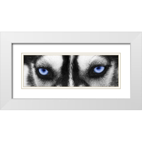 Husky White Modern Wood Framed Art Print with Double Matting by PhotoINC Studio
