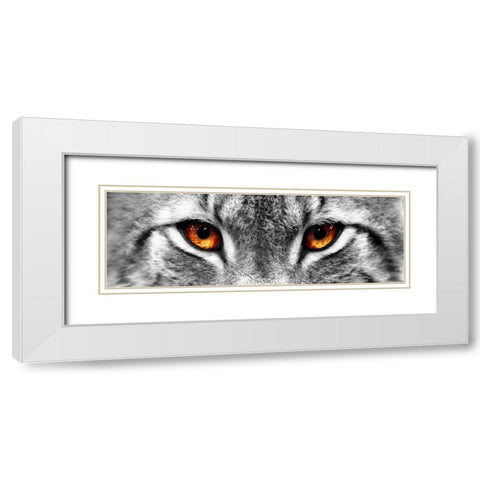 Lynx White Modern Wood Framed Art Print with Double Matting by PhotoINC Studio