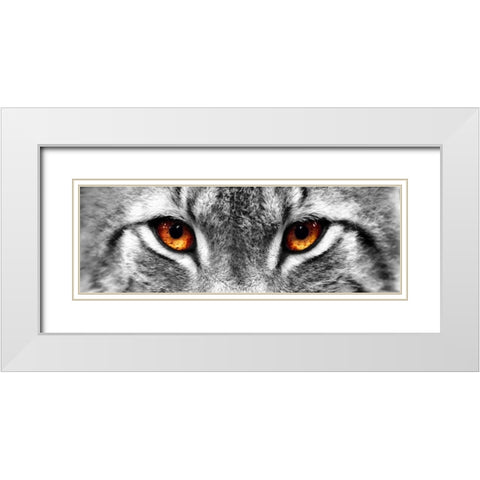 Lynx White Modern Wood Framed Art Print with Double Matting by PhotoINC Studio