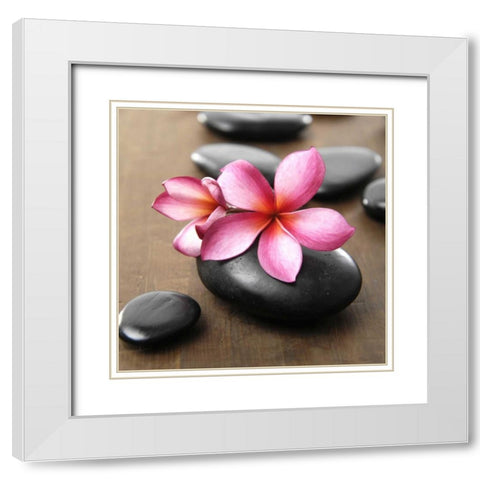 Zen Pebbles White Modern Wood Framed Art Print with Double Matting by PhotoINC Studio