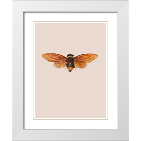 Dineutus White Modern Wood Framed Art Print with Double Matting by Incado