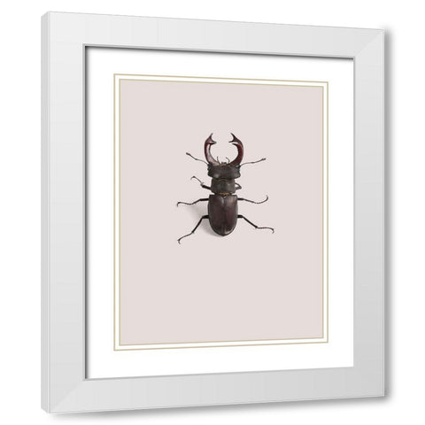 Lucanus cervus White Modern Wood Framed Art Print with Double Matting by Incado