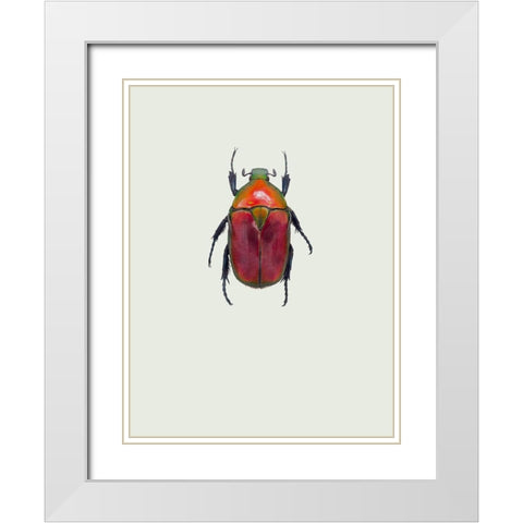 Torynorrhina Flammea White Modern Wood Framed Art Print with Double Matting by Incado