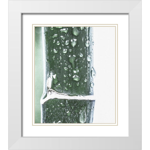 Close up V White Modern Wood Framed Art Print with Double Matting by Incado