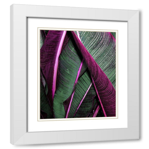 Close up VII White Modern Wood Framed Art Print with Double Matting by Incado