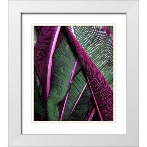 Close up VII White Modern Wood Framed Art Print with Double Matting by Incado