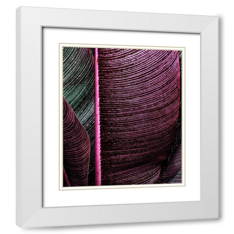 Close up VIII White Modern Wood Framed Art Print with Double Matting by Incado