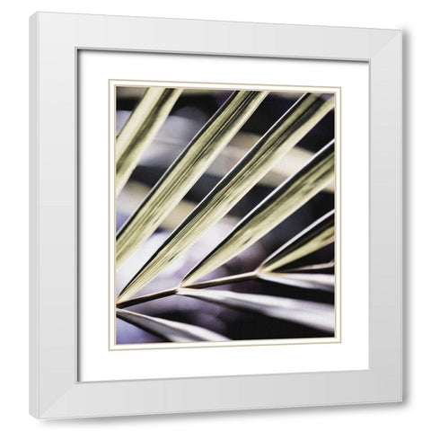 Close up IX White Modern Wood Framed Art Print with Double Matting by Incado