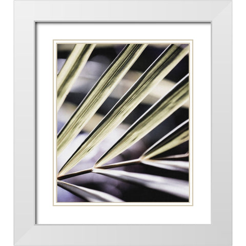Close up IX White Modern Wood Framed Art Print with Double Matting by Incado