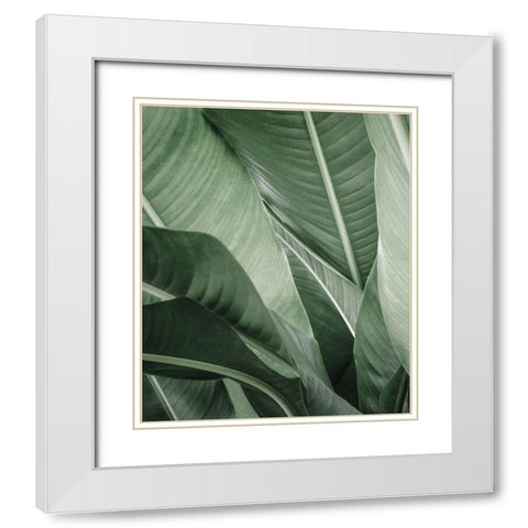 Close up X White Modern Wood Framed Art Print with Double Matting by Incado