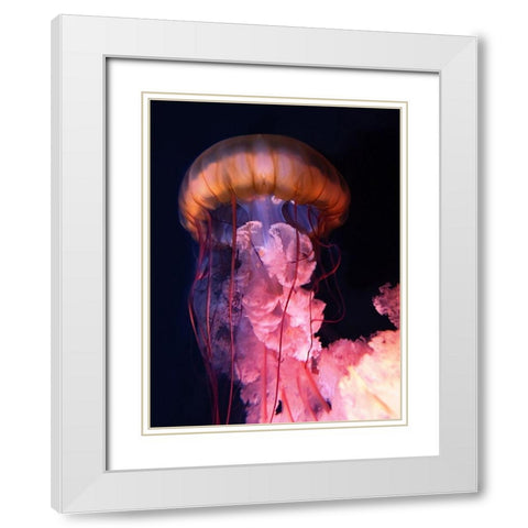 Gelly White Modern Wood Framed Art Print with Double Matting by PhotoINC Studio