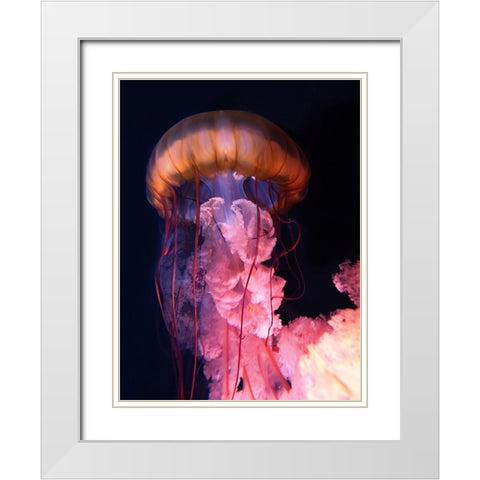 Gelly White Modern Wood Framed Art Print with Double Matting by PhotoINC Studio