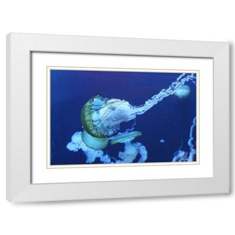 Jelly White Modern Wood Framed Art Print with Double Matting by PhotoINC Studio