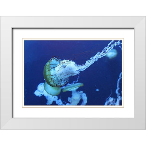 Jelly White Modern Wood Framed Art Print with Double Matting by PhotoINC Studio