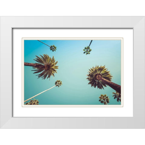 Palms White Modern Wood Framed Art Print with Double Matting by PhotoINC Studio