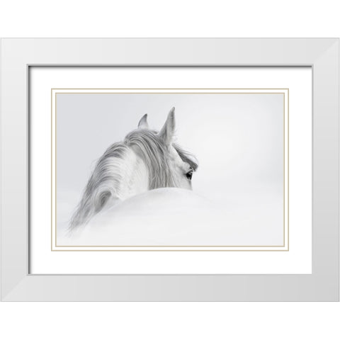 White Horse White Modern Wood Framed Art Print with Double Matting by PhotoINC Studio