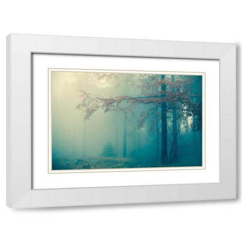 Woods White Modern Wood Framed Art Print with Double Matting by PhotoINC Studio