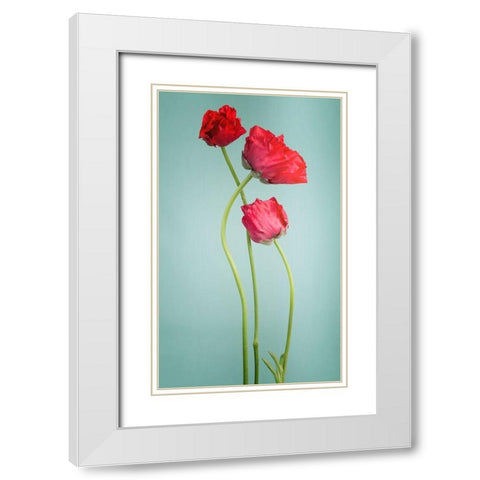 Blue poppy White Modern Wood Framed Art Print with Double Matting by PhotoINC Studio