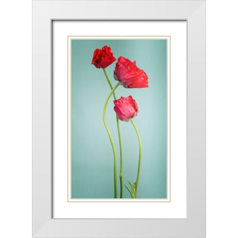 Blue poppy White Modern Wood Framed Art Print with Double Matting by PhotoINC Studio
