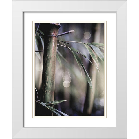 Leaf IV White Modern Wood Framed Art Print with Double Matting by Incado