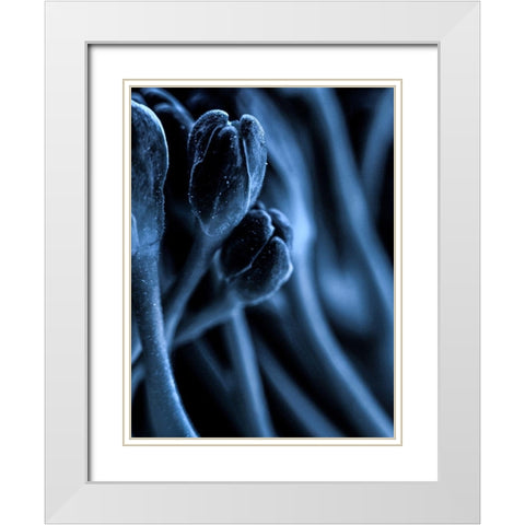 Leaf VII White Modern Wood Framed Art Print with Double Matting by Incado