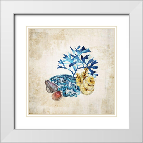 Sea life II White Modern Wood Framed Art Print with Double Matting by Incado