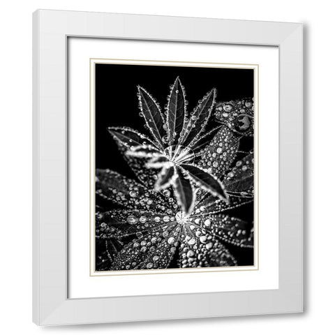 Crystal I White Modern Wood Framed Art Print with Double Matting by Incado