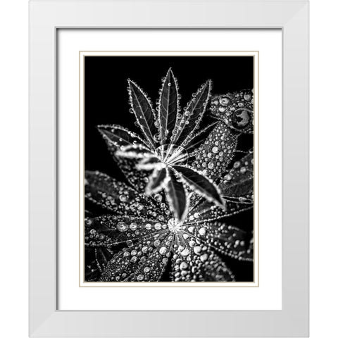 Crystal I White Modern Wood Framed Art Print with Double Matting by Incado