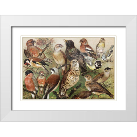 Collection I White Modern Wood Framed Art Print with Double Matting by PhotoINC Studio