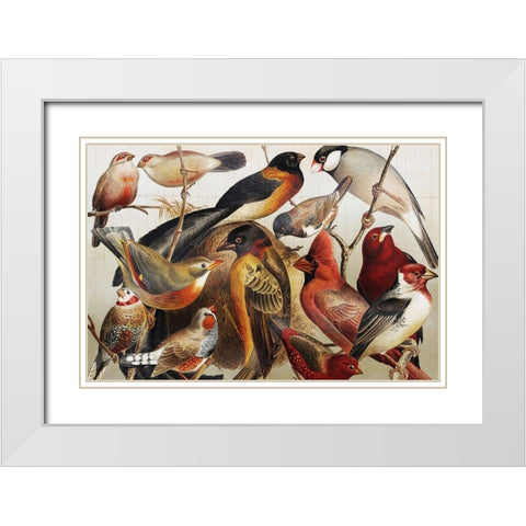 Collection II White Modern Wood Framed Art Print with Double Matting by PhotoINC Studio