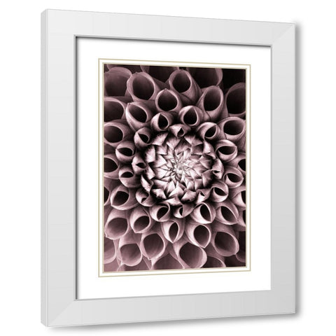 Just open White Modern Wood Framed Art Print with Double Matting by PhotoINC Studio