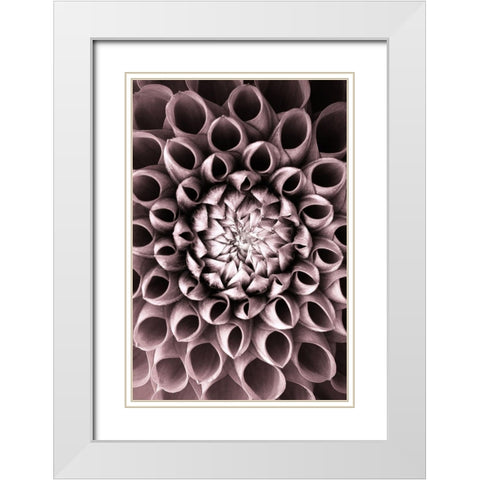 Just open White Modern Wood Framed Art Print with Double Matting by PhotoINC Studio
