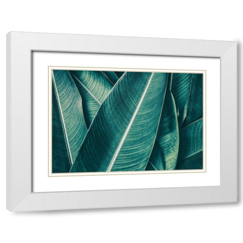 Banana White Modern Wood Framed Art Print with Double Matting by PhotoINC Studio