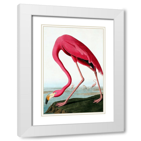 Flamingo White Modern Wood Framed Art Print with Double Matting by Incado